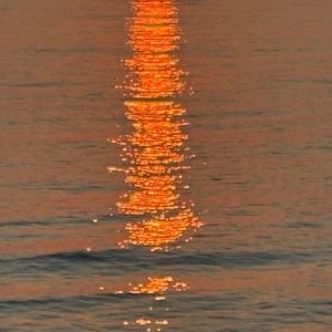 Terry Gaasterland, Del Mar